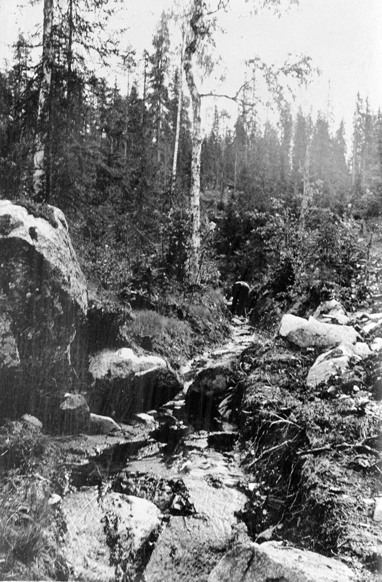 Romedal almenning, Stange. Skogbruk, grøfting, myr, ukjent sted.