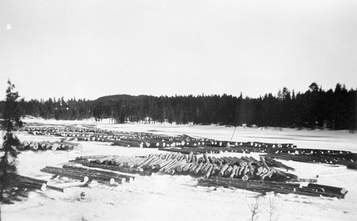 Romedal almenning, Stange. Skogbruk, tømmervelte,