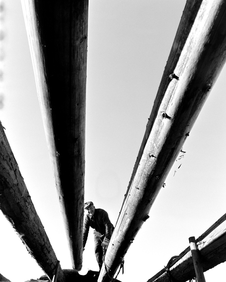 Heggenhaugen gård, Gaupen. Nedtaking av stabbur. 1980. Flyttet til Domkirkeodden. Takkonstruksjon, tømmer, museumshåndverker Kristian Sørlundsengen.