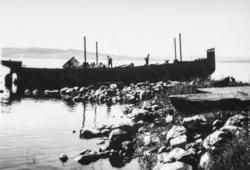 Hamar, Sterudodden, Høiensalodden, Hamarslippen, mjøsbåten D