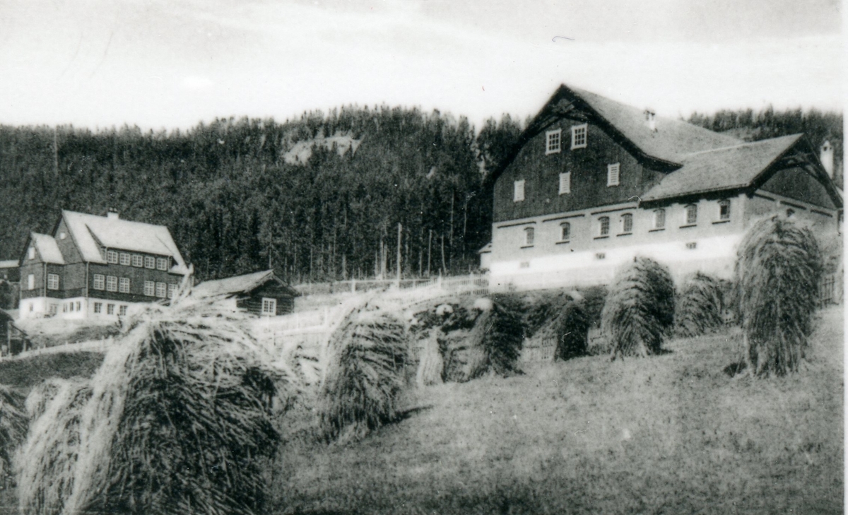 Lien Landbrukskule om hausten.