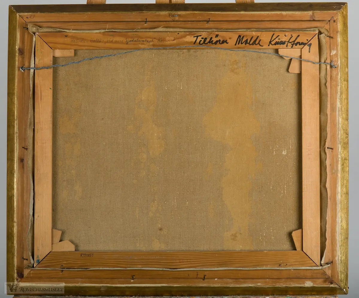 Fjellandskap. Et fjellvann innrammet av vegetasjon med fjell og heier i bakgrunnen.