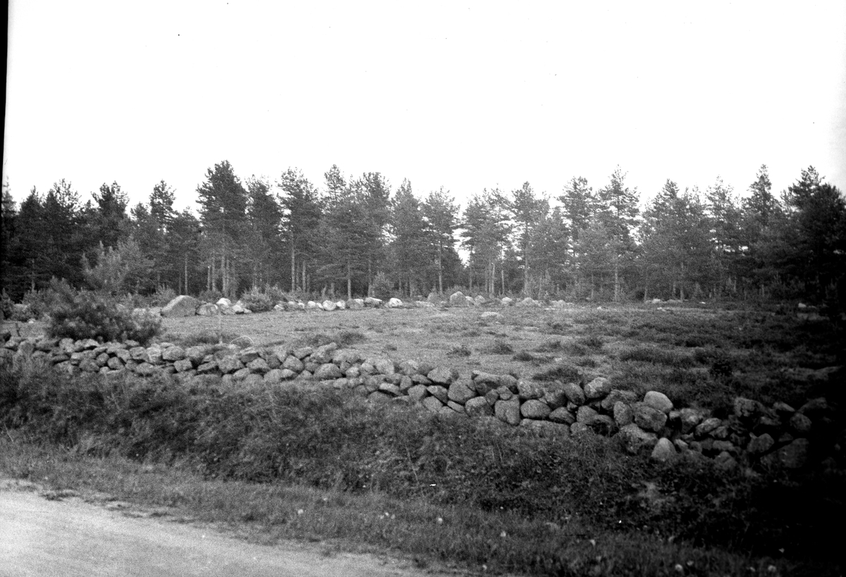 Ingatorps marknadsplats. Ingatorp är den kungsgård, där traditionen säger att konung Inge, Stenkils son, avled någon gång i början av 1100-talet. Han begrovs på Hångers kyrkogård. Men i början av 1200-talet ansågs förmodligen Hångers kyrka för ringa att hysa en kungagrav och kung Inges ben fördes till munkarnas kyrka i Varnhem, "där nu Stenkils son vilar i gott sällskap med helige kung Eriks ättlingar". Som en ö i en väldig åker ligger Hångers kyrkogård. För mer än åtta hundra år sedan vigdes här konung Inge den äldre till den sista vilan. Den utgör nu en inhägnad dunge i Bredegårdens åkrar ej långt från Hornborgasjön. Kyrkan i Hånger, av romansk typ, raserades jämte Mårby, då Bjurums kyrka uppfördes på 1760-talet. Fragment av fönsterbågar och kolonner äro strödda  över platsen, och halvt dolda av det yviga gräset ligga där ett par gravstenar från tidig medeltid. Vi har rätt att tro, att den ena av dessa en gång lagts över kung Inge.