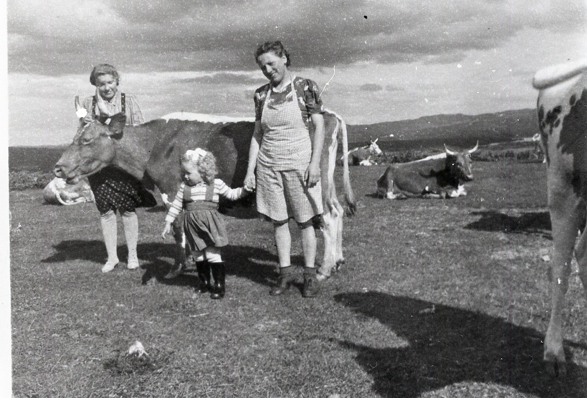 Gruppe, to kvinner med lita jente. Forkle,skjørt og kyr.
Frå v.Ingebjørg Løstegård  f.1920,
        Ingebjørg Løstegård f.1945,
        Margit Tuv Løstegård f.1918.