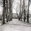 Allén mot Fredriksbergs herrgård.
