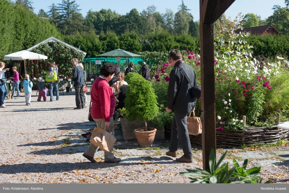 Äppeldagarna Julita 2015, Äpplen, marknad, butiken