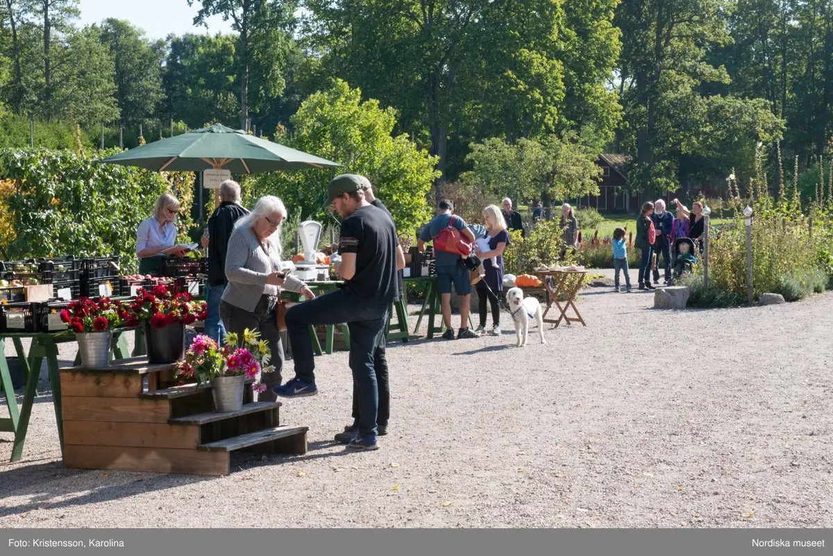 Äppeldagarna Julita 2015, Äpplen, marknad, butiken