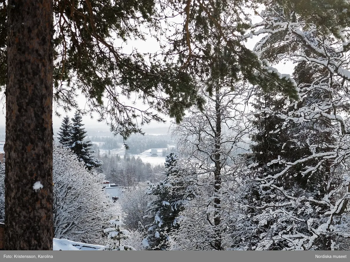 Vilhelmina, snö, Arktis