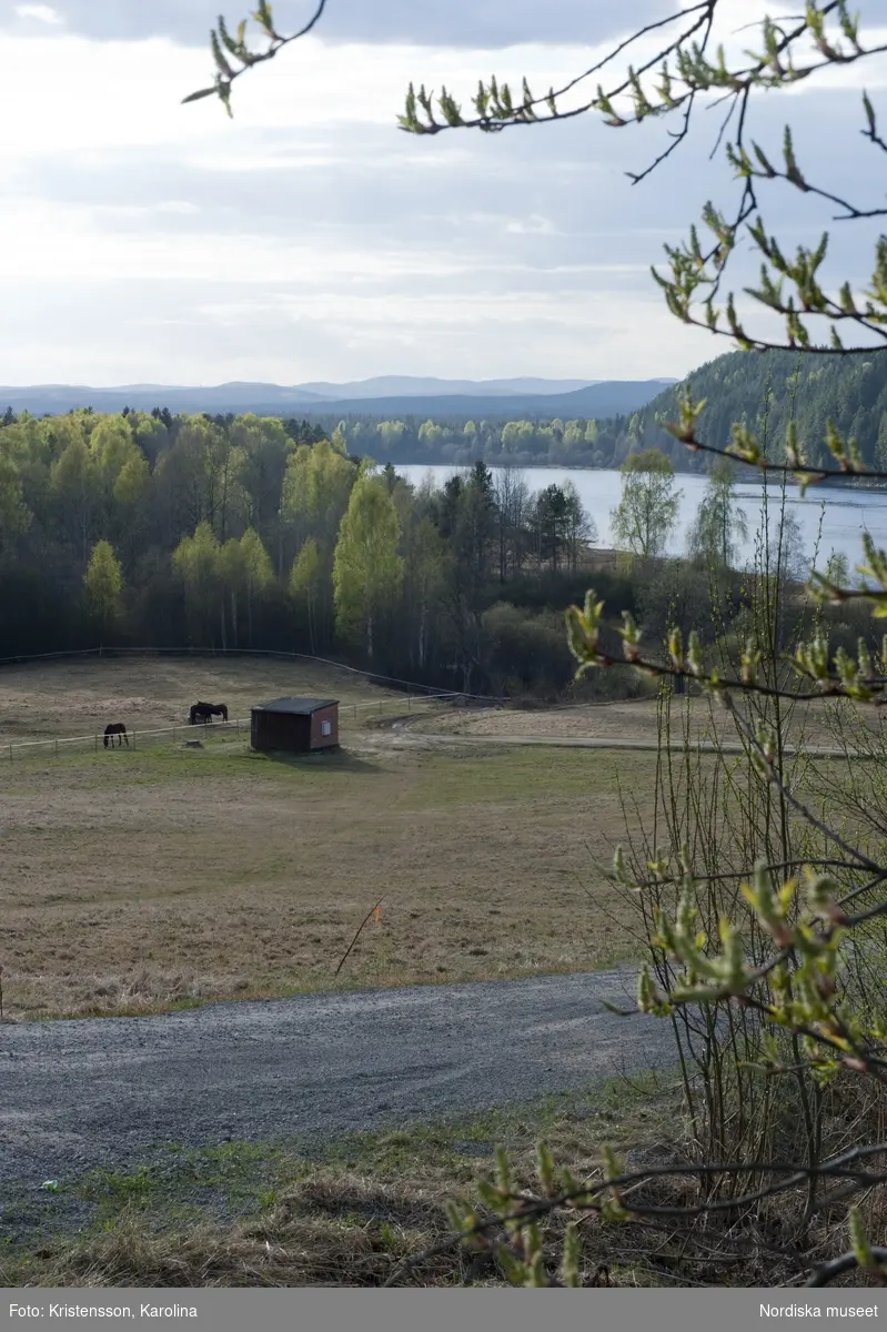 Rosa Taikon, Huset, trädgården och omgivningen kring Flor i Hälsningland