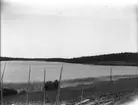 Utsikt över Bassesjön.
Juli 1906