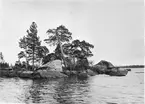Björnskalleholmen