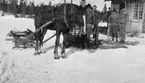 En grupp män med en häst och släde.