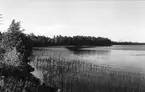 Sjö och strand i Sandviken. Foto 1938.