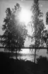 Solreflexer på sjön (Storsjön?), Sandviken. Foto 1938.