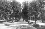 Gäfle. Stadsträdgården. Skickat år 1922