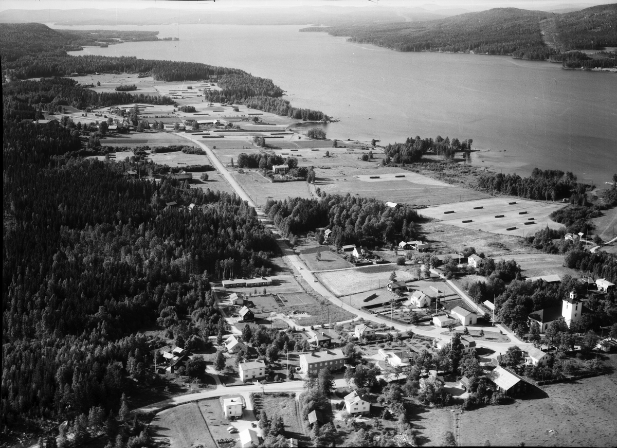 Skog, Hälsingland

