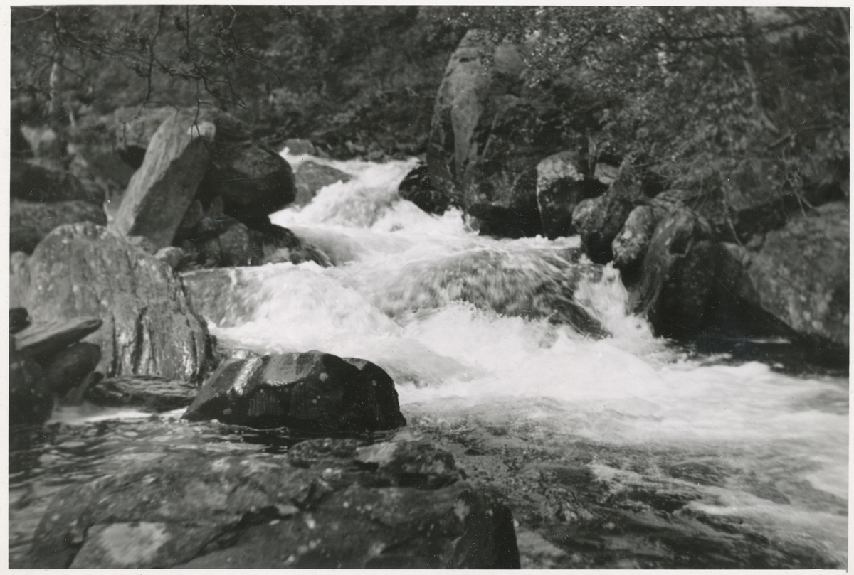 Foss