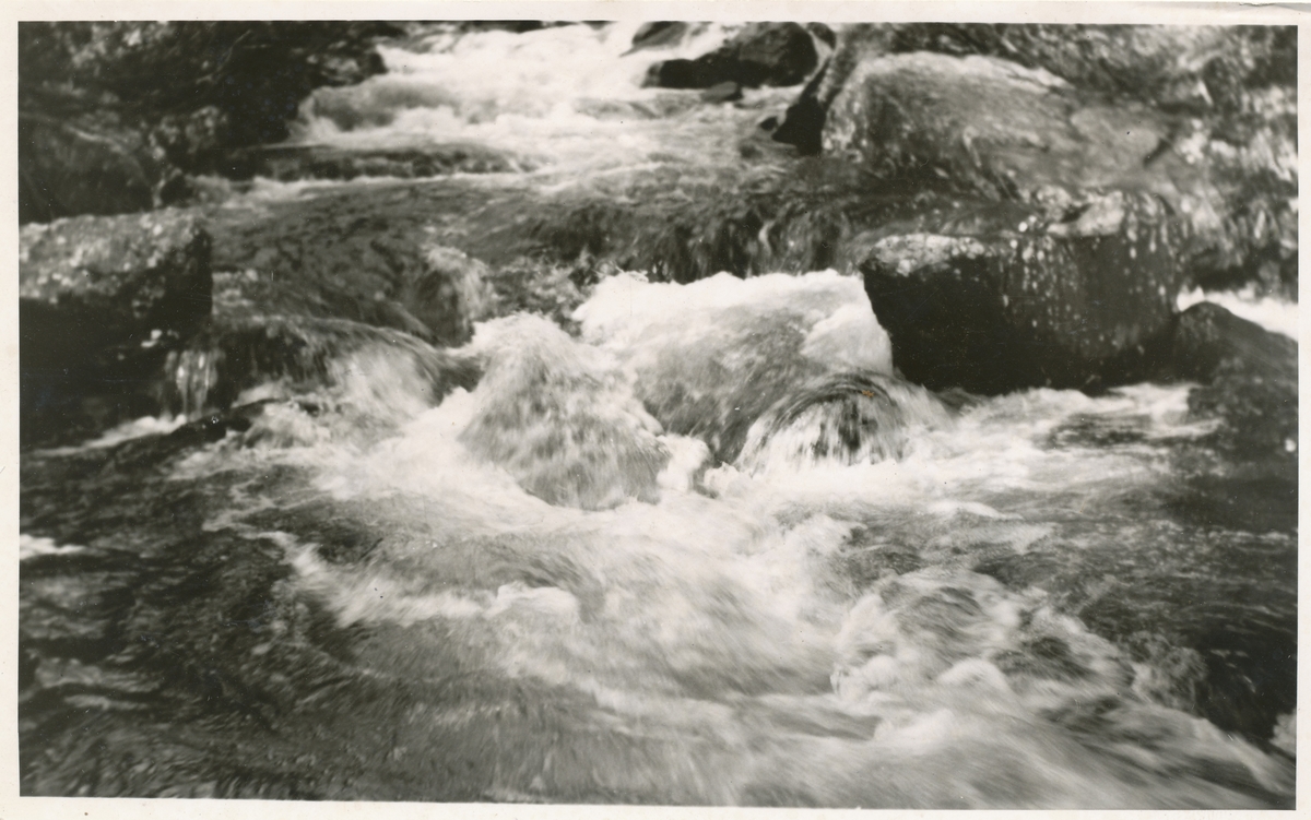 Foss