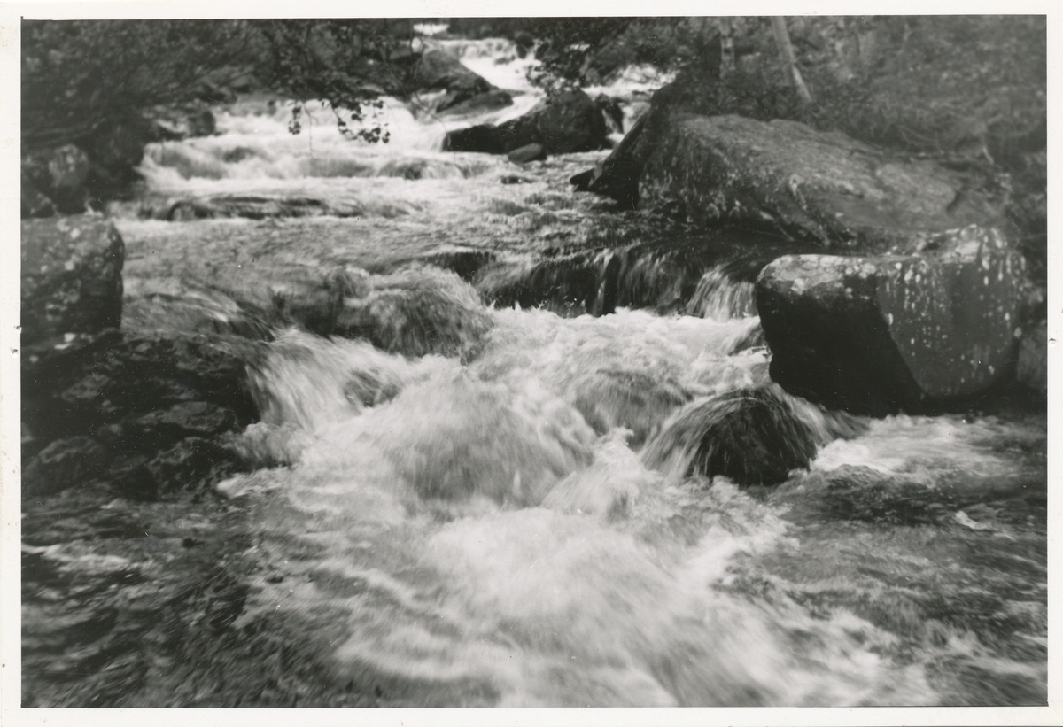 Foss