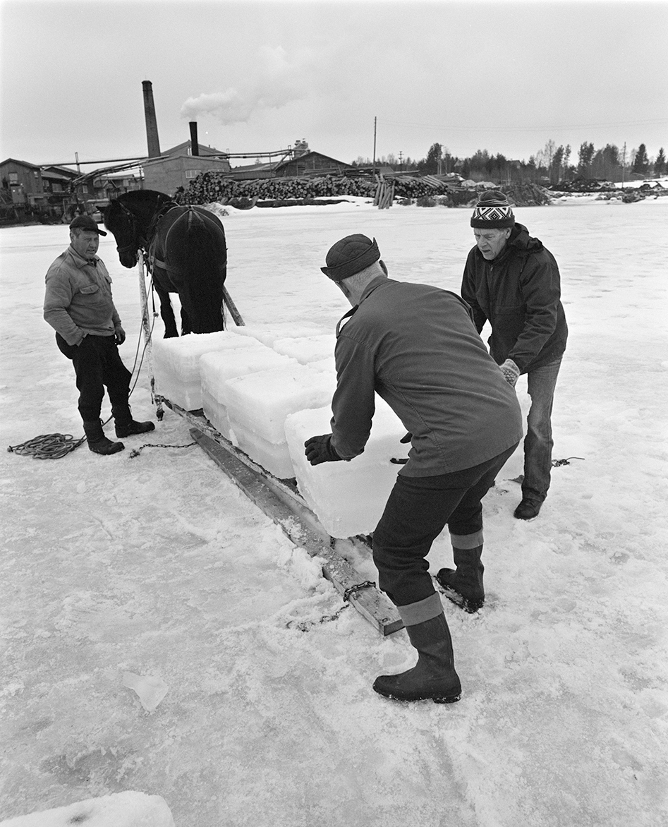 Isskjæring, Rokosjøen, Løten. Paul Nordvold, hest og slede, hesteredskap, iskjøring, isblokker, redskaper, ukjente