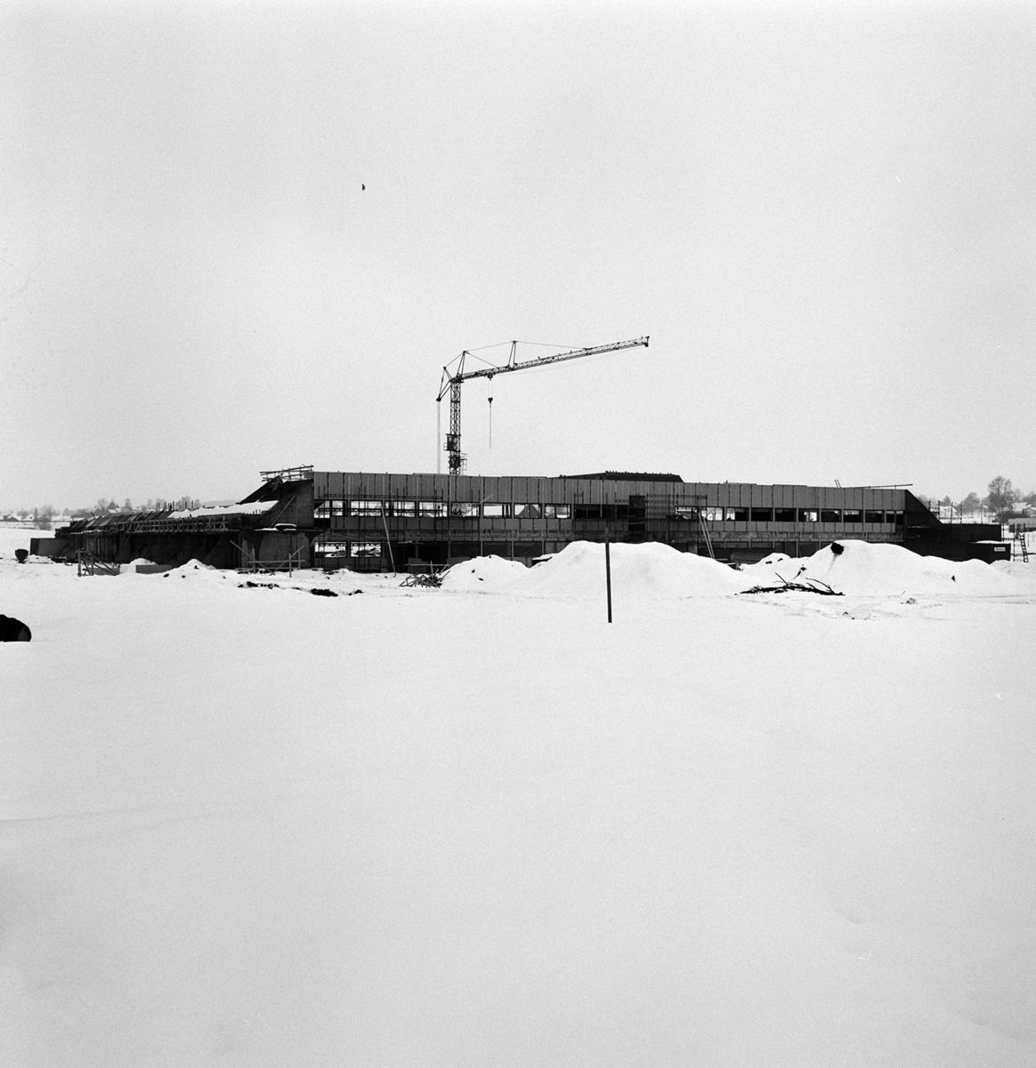 Stangehallen, Riksanlegg, friidrett, anleggsvirksomhet,byggekran,