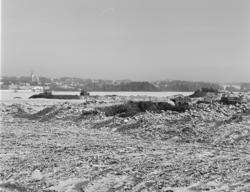 Åkersvika, Hamar. Oversikt, utfylling, Hamar Olympiahall, Vi
