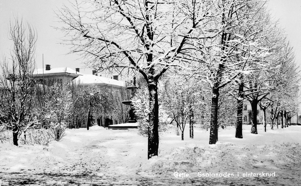 Gävle. Esplanaden i vinterskrud