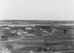 Vy över hamnen. Tullhuset och Restaurang 