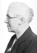 Fru Andersson, Hagaström