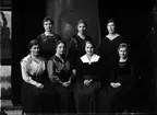 Olsson Sofia. sju kvinnor