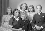 Apotekare Rutbergs familj