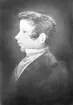 Dryselius.