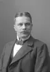 A. E. Ericsson