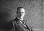 Erik Törnfeldt