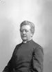 Lektor Paul Peter Waldenström.