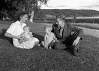 Jägmästare Per Stenhammar familj, Övertänger.         21 november 1944.