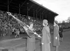 Svenska Flaggans Dag på Strömvallen. 6 juni 1951.