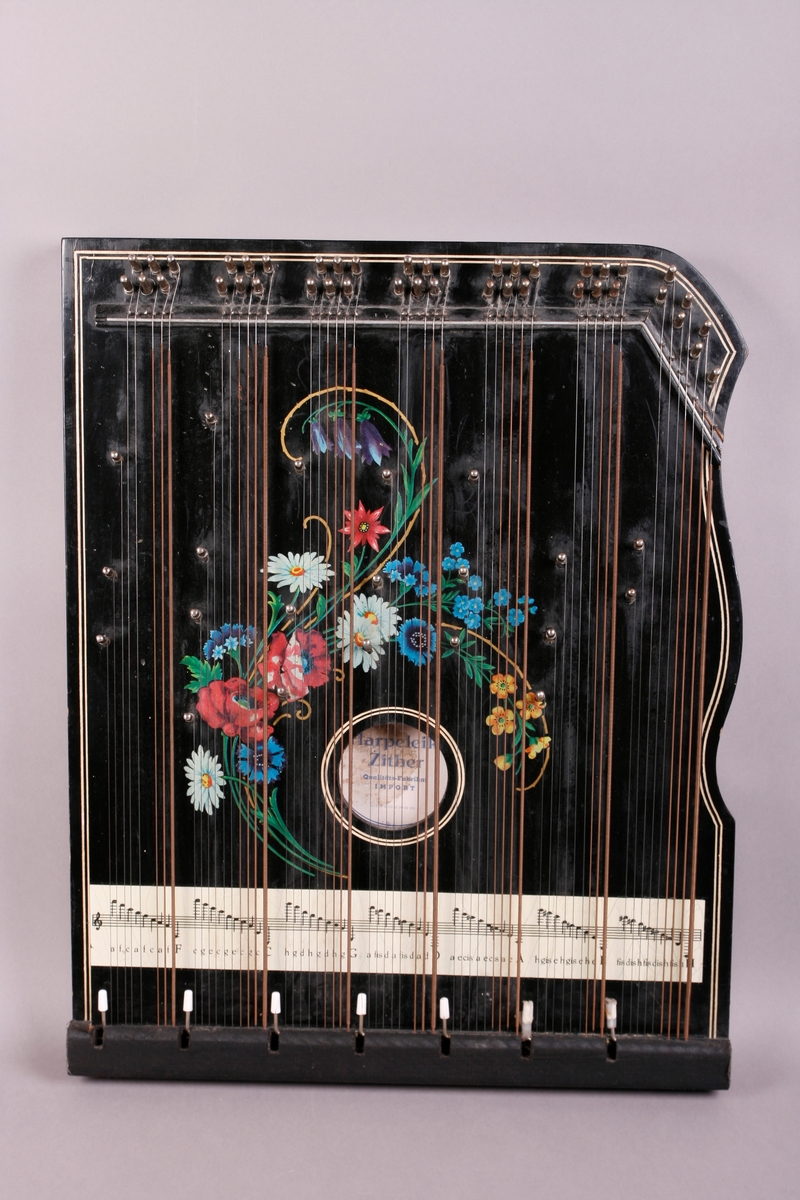 Rektangulær korpus i svartmalt tre. Buet sarg på høyre side, sett forfra. Et anheng er påskrudd nederst på instrumentet, og beskytter strengefestet. Dekor i form av to paralelle linjer går langs ytterkanten på lokket. Stemmestokk og stol i øvre kant. Blomstermotiv på lokket, over lydhullet. Etikett inne i lydhullet; blå bokstaver på hvitt papir. 

Citeren har sju akkorder: F, C, G, D, A, E, H. Totalt 64 strenger. Tersen i hver akkord kan endres ved hjelp av en spake som kan løftes opp. Dermed kan man spille i både dur og moll.