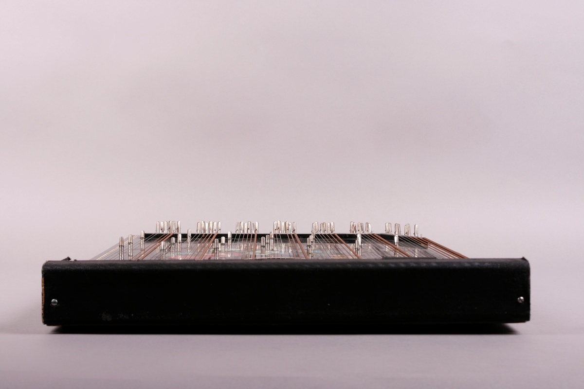 Rektangulær korpus i svartmalt tre. Buet sarg på høyre side, sett forfra. Et anheng er påskrudd nederst på instrumentet, og beskytter strengefestet. Dekor i form av to paralelle linjer går langs ytterkanten på lokket. Stemmestokk og stol i øvre kant. Blomstermotiv på lokket, over lydhullet. Etikett inne i lydhullet; blå bokstaver på hvitt papir. 

Citeren har sju akkorder: F, C, G, D, A, E, H. Totalt 64 strenger. Tersen i hver akkord kan endres ved hjelp av en spake som kan løftes opp. Dermed kan man spille i både dur og moll.