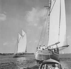 Fartyg från Svenska Seglarskolan under segling. Närmast KRYS