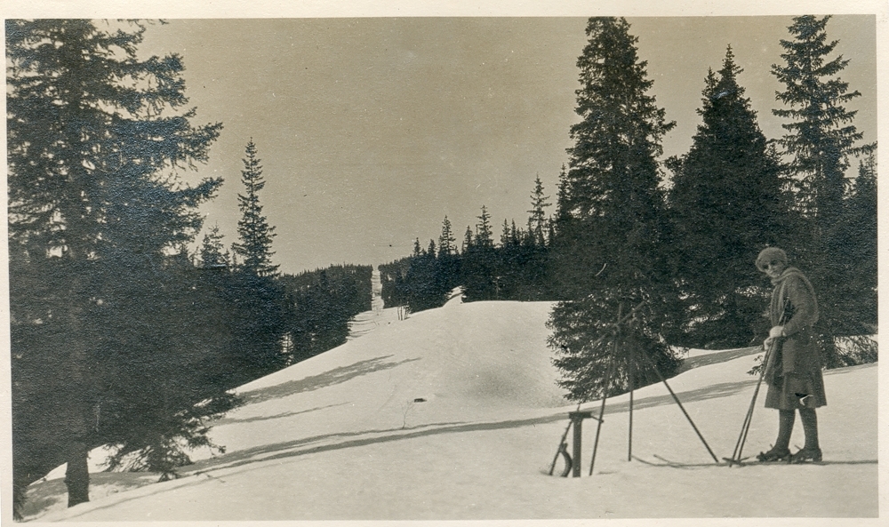 Skoglandskap, granskog. Vinter. Kvinne på ski. Kraftlinje/kraftgate. Måleinstrument.