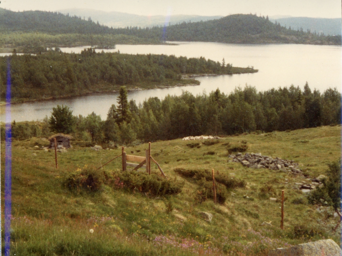 Vår ved Myklesjøen på Søråsen.