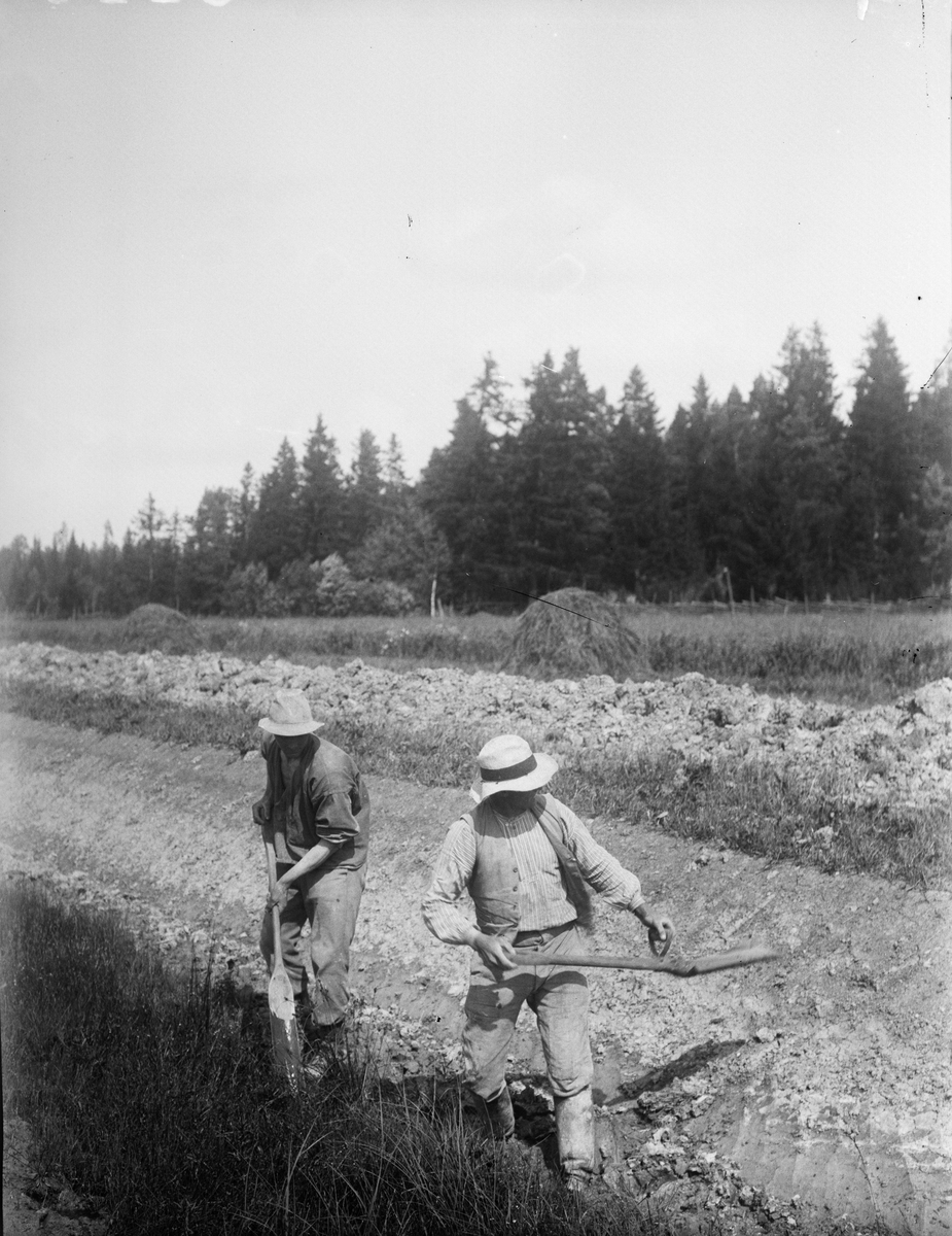 "Ravastbogrävningen hösåtan, Manne Larson o Edvin Karlson", Simtuna socken, Uppland 1922