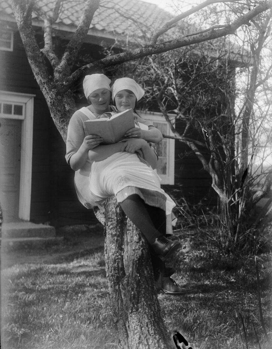 "Två flickor av skolkökskursen sitter i trädet vid Billerstena", Altuna socken, Uppland 1923