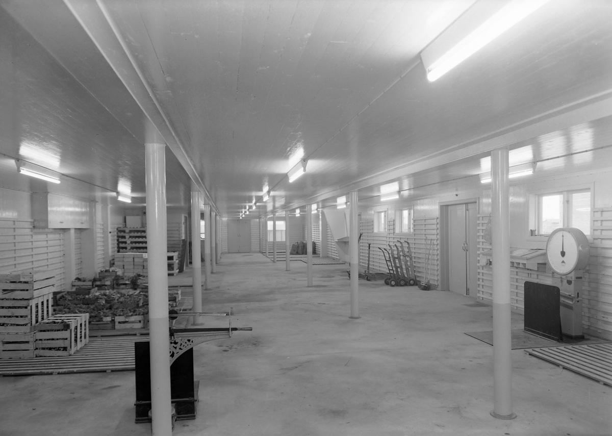 Gartnerhallen i Sandgata 12, eksteriør og interiør