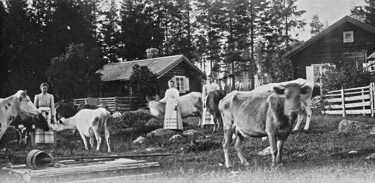 Okänd fäbod. Från vänster Märta A. Elin P. och Anna Axberg.