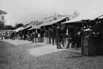 Knallare troligen på 1890-talet. En del av dem blev kvar i Gävle som affärsmän.
1. August Åberg, Grönehögs socken, Hogabergs by, Västergötland
2. En kund, Enander (Skäggan), Länghem Socken, Västergötland
3. Stenkvist, sittande
4.
5. J P Johansson, provsmekande överläppen
6.
7.
8.
9.
10.
11. Schewelius
12.
13.
14.