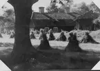 Tolvfors. Bruksgårdar från början av 1900-talet.
