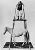 Anders Eklöv, son till Sjungar-Pelle.
Cirkusartist ett antal år bl.a. hos Ringling Brothers.
Död på 1950-talet.