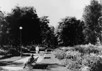 Gävle stad  Väster, Stadsträdgården.